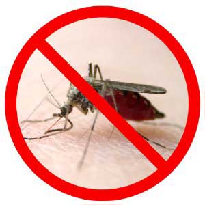 Bushman insect repellent aerosol spray no mosquito's